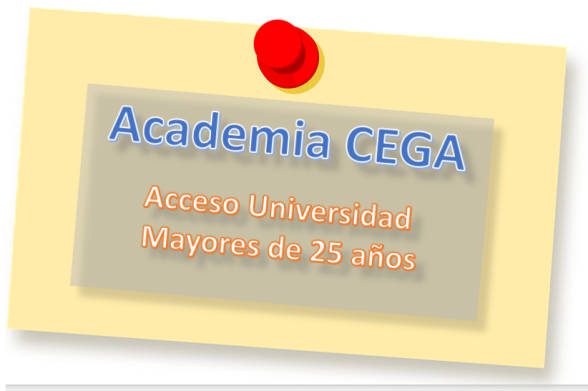 becas neae cursos academia cega en sevilla