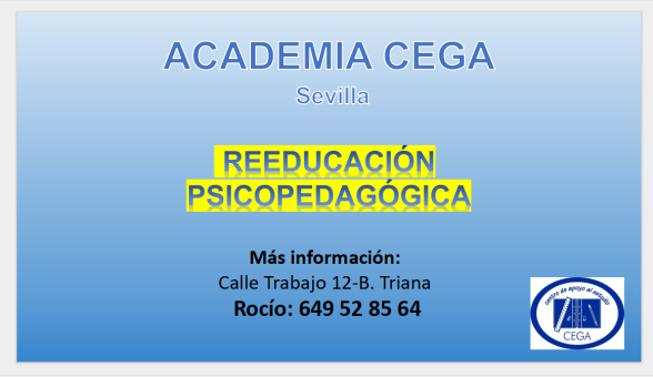 becas neae cursos academia cega en sevilla